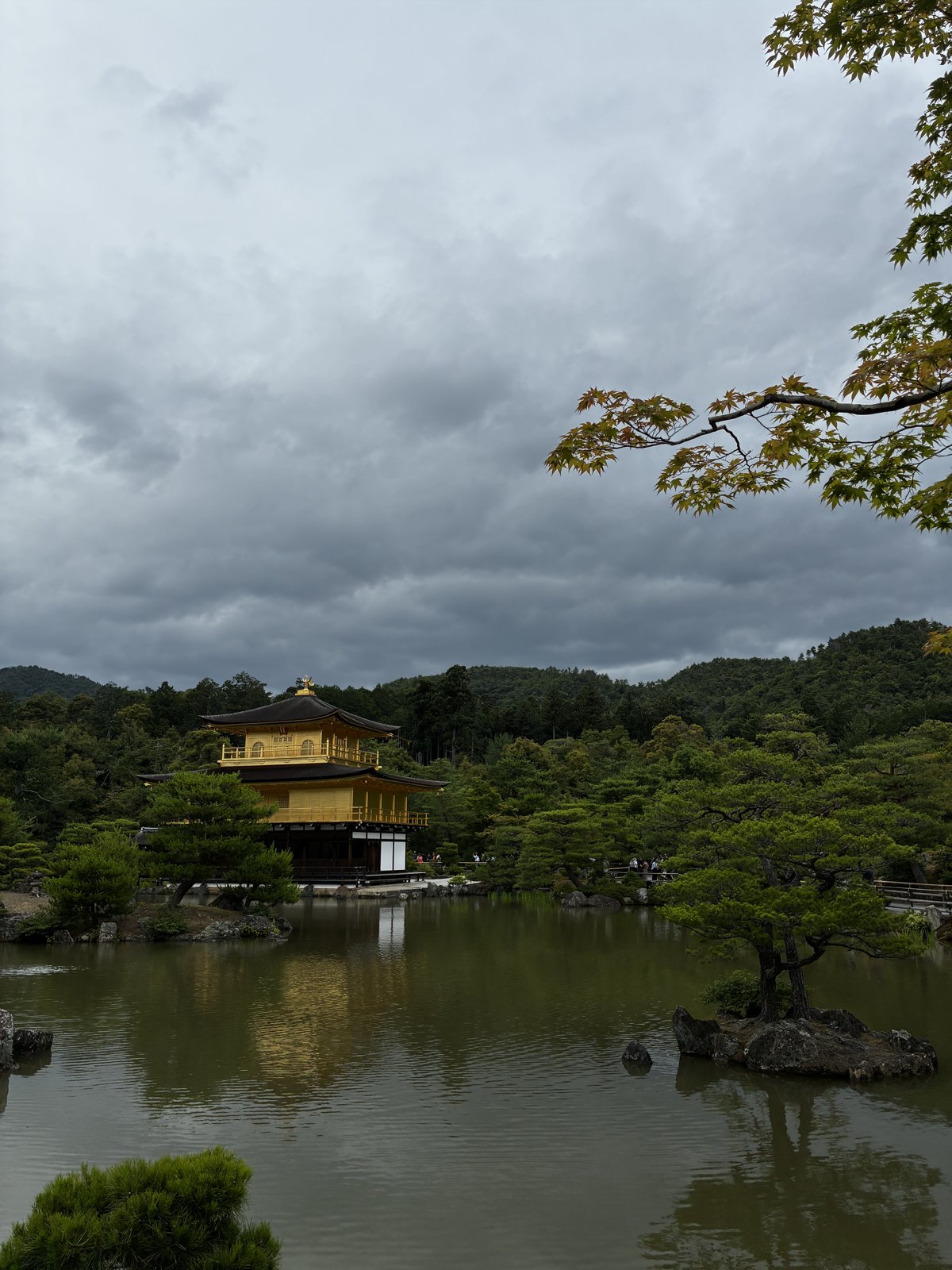 木の枝ごしに見た金閣寺。撮影台から一歩ずれると構図が変わる