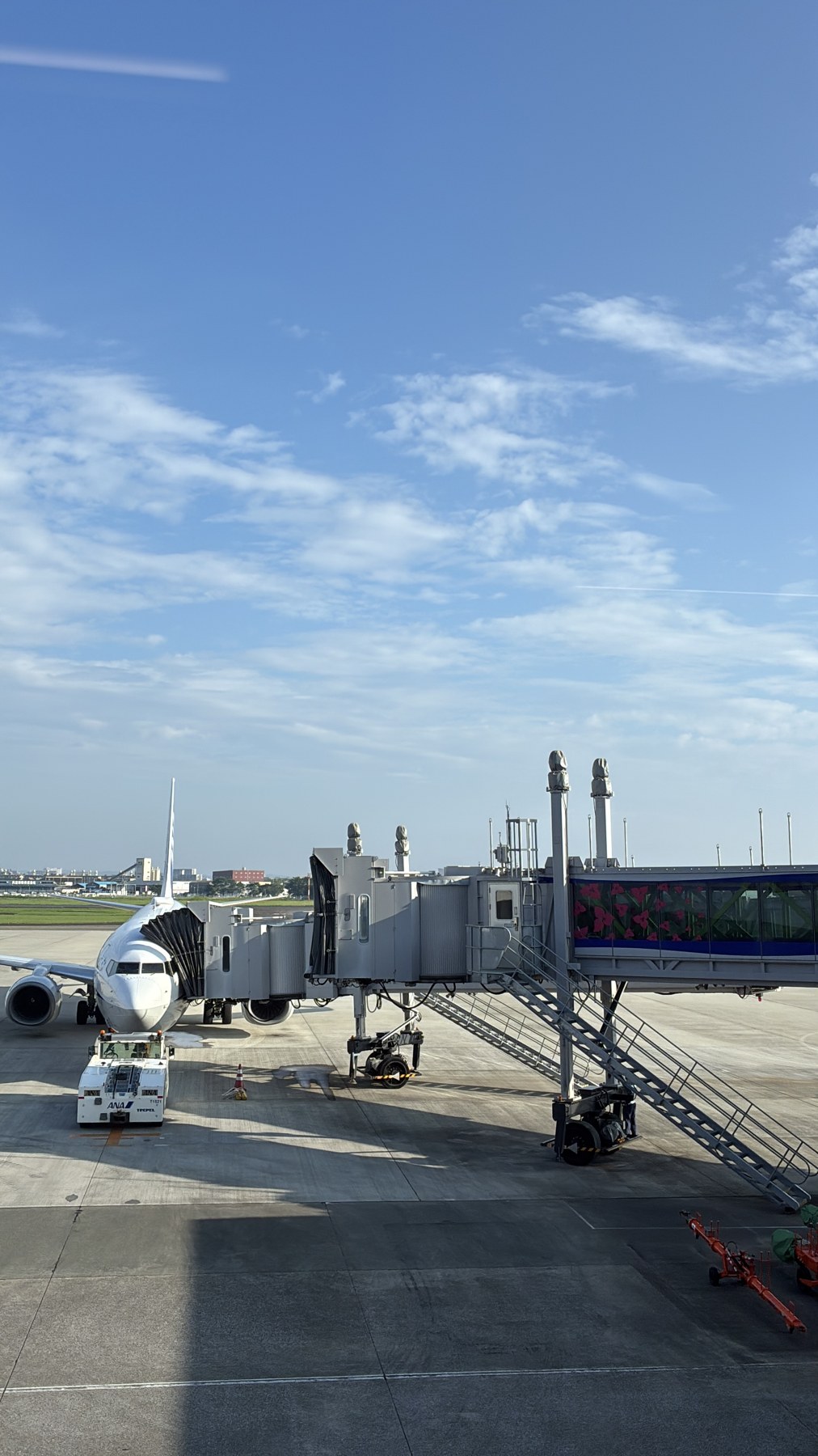 青空の下、宮崎空港の搭乗橋につながれた飛行機